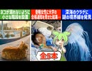 8月8日 世界のおもしろB級ニュース【全5本】【ずんだもん】