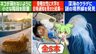 8月8日 世界のおもしろB級ニュース【全5本】【ずんだもん】