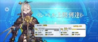 【FGO】呼延灼（レベルアップ）