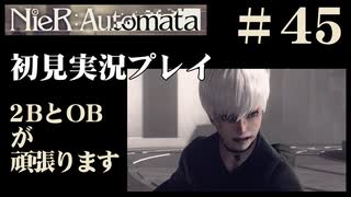 【NieR：Automata】2BとOBが頑張ります。【その45です】
