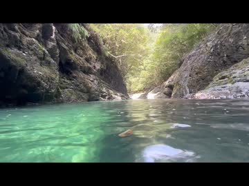 静閑静でぼくのなつやすみ　危険な沢なんぞ絶対にやらないリアル登山アタック　