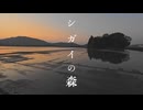 新開の森