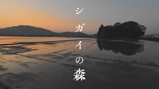 新開の森