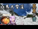 【ニコニコ登山祭】真夏に雪を踏みしめて -白馬大雪渓-【リアル登山アタック】