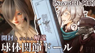 【ドール開封＆解説】Novadoll_阿琅(アラン)【虚音イフ/有響シロ】(PR)