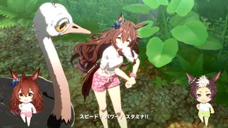 【メジロブライト】タッカー's スキルアップアイランド【ウマ娘】