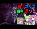 【ELDEN RING】常夜の王「霞」カリゴ　初見【NIGHTREIGN】
