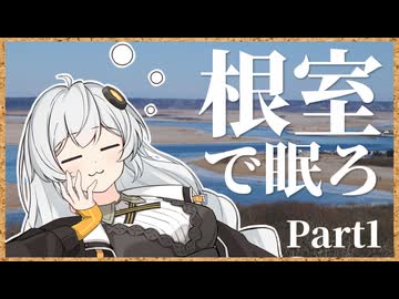 根室で眠ろ １眠【冬の道東お写真旅】