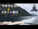 「石破を絶対に総理にしてはならない」安倍氏の真意：既にハニトラに掛かってる！イラク視察３度とも直前キャンセル←コメ【アラ還・読書中毒】私事：一週間前倒しの夏休み（平川ねぷた・仏ヶ浦観光船・八戸三社祭）