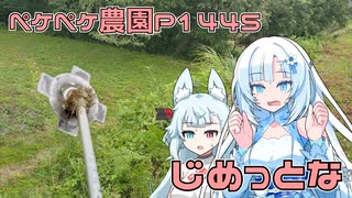 2025年8月7日　農作業日誌P1445　やっぱり法面で草刈りをしつついろいろなことしているよ