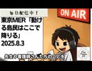 死ぬまで雑談ラジオ「ろりラジ」～東京MER「動ける島民はここで降りる」～