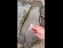 ホモと学ぶ水の中に落ちたものを簡単に探す方法