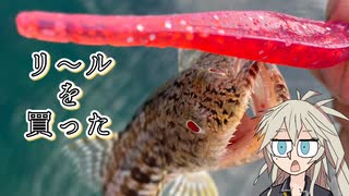 【1分釣り動画投稿祭2025】リールを買った。ミドルゲーム…？