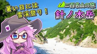 【ニコニコ登山祭】針ノ木岳、夏の雪渓登りへ【リアル登山アタック】