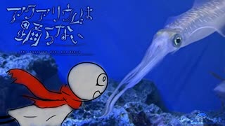 イカを追いかけなくちゃ『アクアリウムは踊らない』#part4