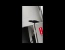 ハローって鳴くカラス