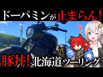 【24h断食→爆食】ドーパミン豚丼チャレンジやってみた!!苫小牧→帯広【VOICEROID車載】【きずなあかり】【北海道ツーリング】