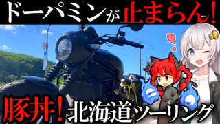 【24h断食→爆食】ドーパミン豚丼チャレンジやってみた!!苫小牧→帯広【VOICEROID車載】【きずなあかり】【北海道ツーリング】