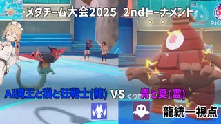 【メタチーム大会2025】Al魔王と猫と狂戦士(龍)VS青と夏(霊)龍統一視点【ナースロボ_タイプT実況】