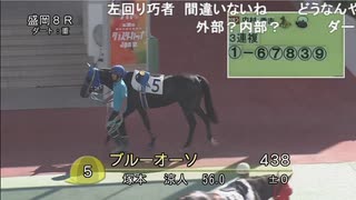 【リアルダビスタ】2025年8月5日 レライタム 17戦目　クラスペディア賞(B2)