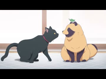 雨と君と　第6話　猫と南瓜