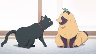 雨と君と　第6話　猫と南瓜