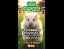 【競馬予想】ＧⅢ #CBC賞□AIねむリン□今回の予想担当はきのこ□推奨馬2頭で好配当的中□目指します□《#競馬楽部□（LOVE）》Vol.182 通算Vol.384