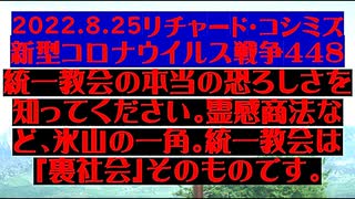 【2022年08月25日 ：『 リチャード・コシミズ「 Internet Lecture 」｟ 新型コロナウイルス戦争編 ｠｟ LIVE ｠｟ 改良版 ｠』】