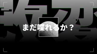 偽星 / 重音テト