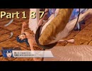 【ファイアーエムブレム無双】【リョナ】【シーダ】 ３０秒リョナPart１８７