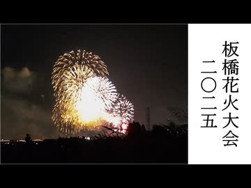 今年もひっそりこっそり板橋の土手から花火を見てました（板橋花火大会2025）