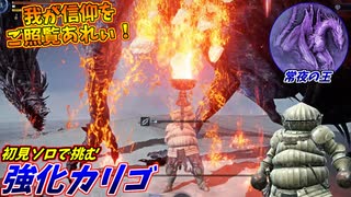 未来に帰るために、強化カリゴを完膚なきまでに叩き潰すドラえもんの初見ソロ攻略【ELDEN RING NIGHTREIGN】