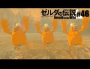 【ゆっくり実況】マスターモードで遊ぶブレワイ#46