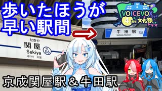 【京成関屋駅＆牛田駅】歩いたほうが早い駅間【ホワイトカルトレイン】