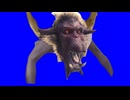 ガクガクと体を震わせて威嚇するアキラ―ジャンBB
