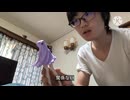 帰省ラッシュみてぇな動画【ボケが渋滞してる】