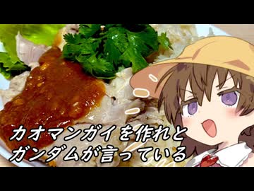 【Road to カオマンガイの宴】チキンライスか・・・僕にも(ry【VOICEROIDキッチン】