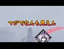 dbd　見えん！見えねぇよ！