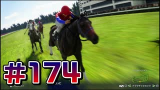 【ウイニングポスト10 2024 】こっちでめざせ！G1全制覇！ウイニングポスト10 2024 #174【実況プレイ】
