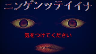 【要注意】人間になりたいAIと取り引きをするホラーゲーム実況プレイ【ニンゲンッテイイナ】