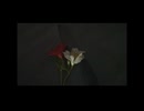 Alstromeria/ナースロボ_タイプT