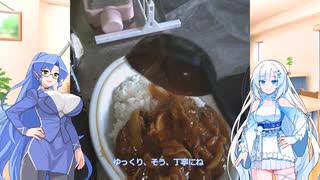 特に理由もなく出来るだけ楽にカレーを作ります