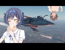 【CeVIO AI】中華まん買いに行くつづみさん【warthunder】