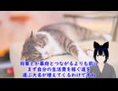 ちょっと詳しい日本史　応仁の乱　その９