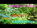 ニコニコ登山祭　防人が一切経を奉斎した伝説の「経小屋（きょうごや）山」596m　広島県廿日市市
