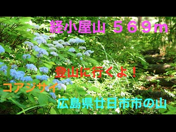 ニコニコ登山祭　防人が一切経を奉斎した伝説の「経小屋（きょうごや）山」596m　広島県廿日市市