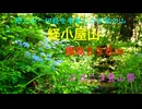 ニコニコ登山祭　防人が一切経を奉斎した伝説の「経小屋（きょうごや）山」696m　広島県廿日市市