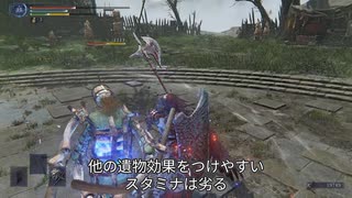 【エルデンリングナイトレイン 守護者】鳥さん大回転