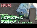 【サビキ】月（Moonfish）が掛かってお刺身よ！ ～ 醤油 or ポン酢