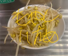 もやし　炒め　ニンニク　塩コショウ　サラダ油　料理